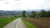 Blick auf die Wanderstrecke durch die Riede "Hub an der Mank" 